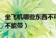 坐飞机哪些东西不可能携带（坐飞机哪些东西不能带）