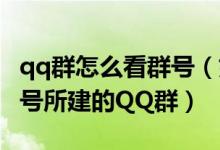 qq群怎么看群号（如何通过QQ号来查询这个号所建的QQ群）