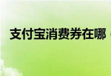 支付宝消费券在哪（支付宝消费券怎么用）