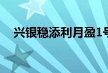 兴银稳添利月盈1号 兴银添利宝保本金吗