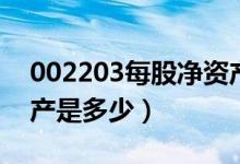 002203每股净资产（海亮股份002203净资产是多少）