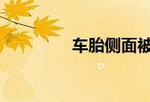车胎侧面被啃了一小块皮 