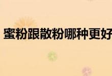 蜜粉跟散粉哪种更好用（蜜粉跟散粉的区别）