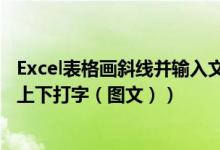 Excel表格画斜线并输入文字（如何在excel表格中画斜线并上下打字（图文））