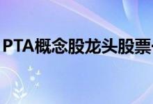 PTA概念股龙头股票一览PTA上市公司有哪些