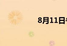 8月11日午间涨停分析