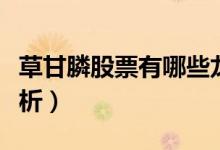 草甘膦股票有哪些龙头股（草甘膦股票名单分析）