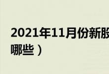 2021年11月份新股申购一览表（11月新股有哪些）