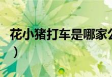 花小猪打车是哪家公司的平台（是正规平台吗）