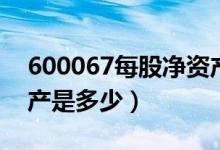 600067每股净资产（冠城大通600067净资产是多少）