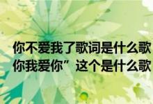 你不爱我了歌词是什么歌（有首歌的歌词有句”如果他不爱你我爱你”这个是什么歌）