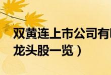 双黄连上市公司有哪些（2021年双黄连概念龙头股一览）