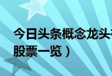 今日头条概念龙头有哪些（2022年今日头条股票一览）