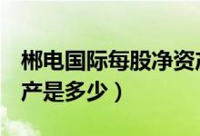 郴电国际每股净资产（郴电国际600969净资产是多少）