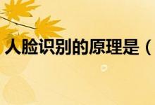 人脸识别的原理是（人脸识别的原理是什么）