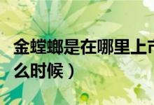 金螳螂是在哪里上市的（金螳螂上市时间是什么时候）