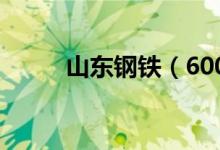 山东钢铁（600022）发行价多少