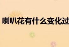 喇叭花有什么变化过程（喇叭花有什么特点）