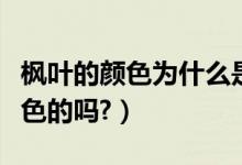 枫叶的颜色为什么是红色的（枫叶一定都是红色的吗?）