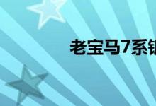 老宝马7系钥匙怎么换电池 
