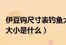 伊豆钩尺寸表钓鱼大小（伊豆鱼钩型号对应鱼大小是什么）
