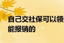 自己交社保可以领生育津贴吗 要什么条件才能报销的 