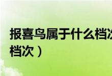 报喜鸟属于什么档次的衣服（报喜鸟属于什么档次）