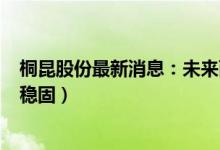 桐昆股份最新消息：未来两年新增200万吨涤纶（龙头地位稳固）