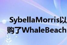  SybellaMorris以1000万美元以上的价格收购了WhaleBeachPad 