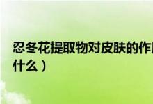 忍冬花提取物对皮肤的作用（忍冬花提取物对皮肤的作用是什么）