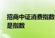 招商中证消费指数基金 消费基金选择主动还是指数