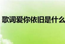 歌词爱你依旧是什么歌曲（爱依然完整歌词）