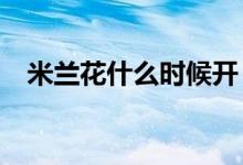 米兰花什么时候开（米兰花什么时候开?）