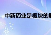 中新药业是板块的股票（属于什么概念的）