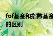 fof基金和指数基金的区别 FOF与指数型基金的区别