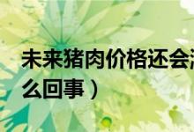 未来猪肉价格还会涨吗（猪肉价格连降9周怎么回事）