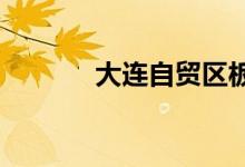 大连自贸区板块概念股票一览