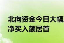 北向资金今日大幅净买入132.95亿元比亚迪净买入额居首