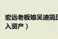 宏远老板娘吴迪简历个人资料（宏远老板年收入资产）