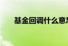 基金回调什么意思 基金回调什么意思