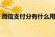 微信支付分有什么用（微信支付分能借钱吗）