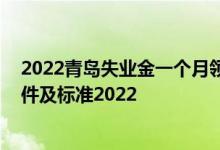 2022青岛失业金一个月领取多少钱 青岛失业保险金领取条件及标准2022 