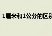 1厘米和1公分的区别（1公分等于多少厘米）