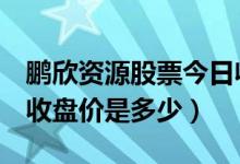 鹏欣资源股票今日收盘价（鹏欣资源600490收盘价是多少）