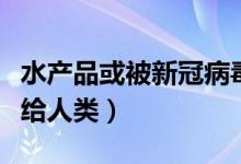 水产品或被新冠病毒污染而非感染（没有传染给人类）