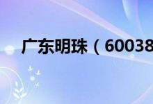 广东明珠（600382）行业主营构成分析