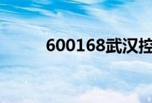 600168武汉控股股票市值是多少