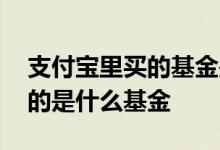 支付宝里买的基金是什么基金 支付宝里面买的是什么基金