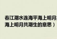 春江潮水连海平海上明月共潮生是谁写的（春江潮水连海平海上明月共潮生的意思）