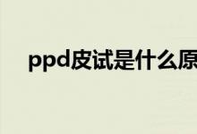 ppd皮试是什么原理（ppd皮试是什么）